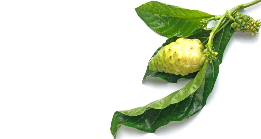 Noni