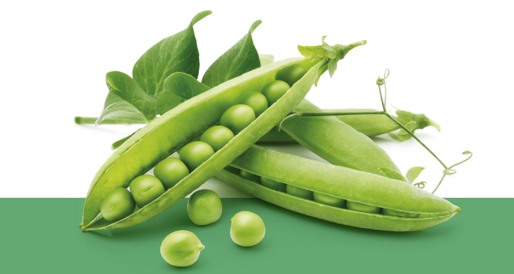 Vitamini B kompleksa
