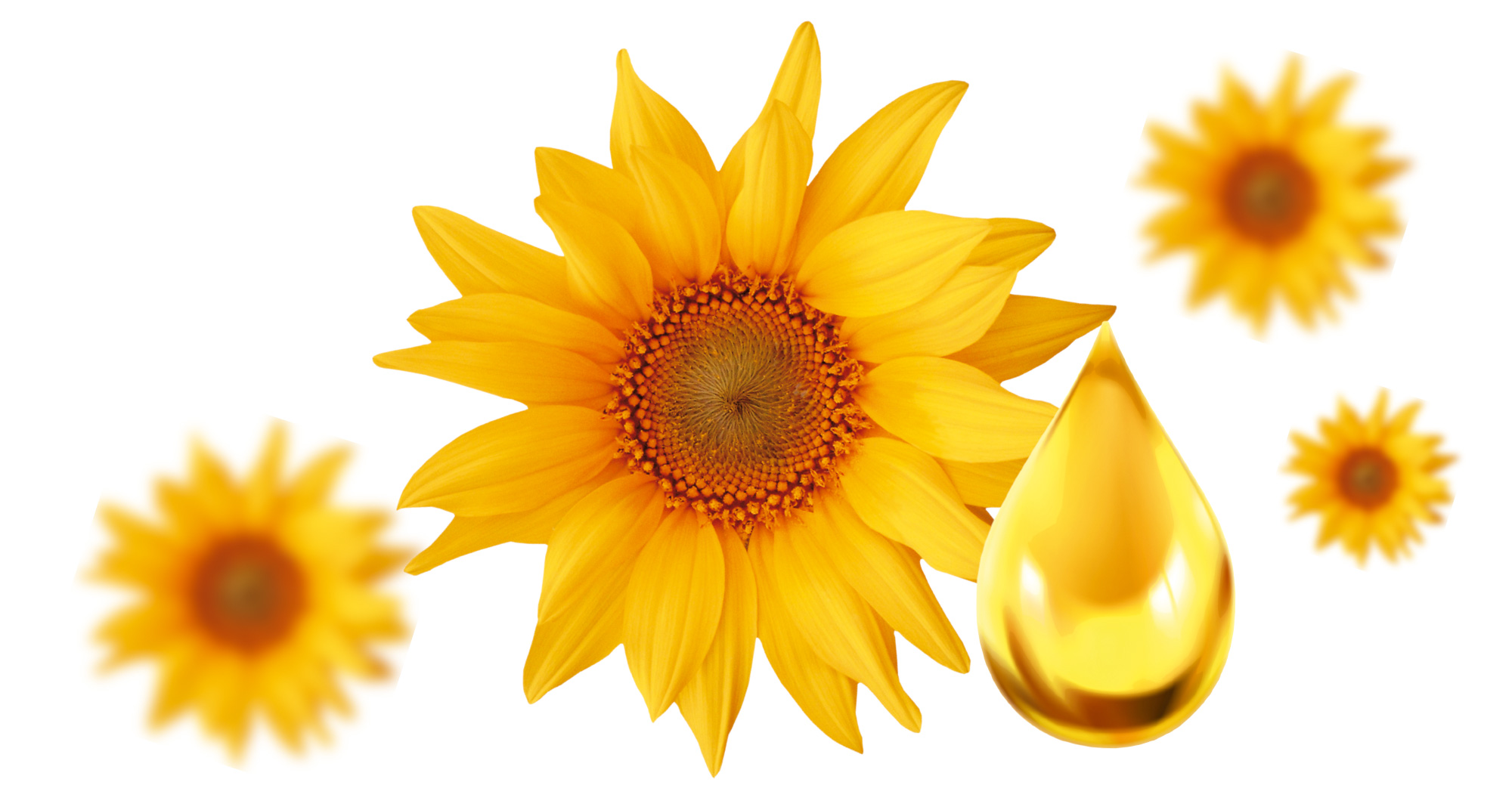 Vitamin E