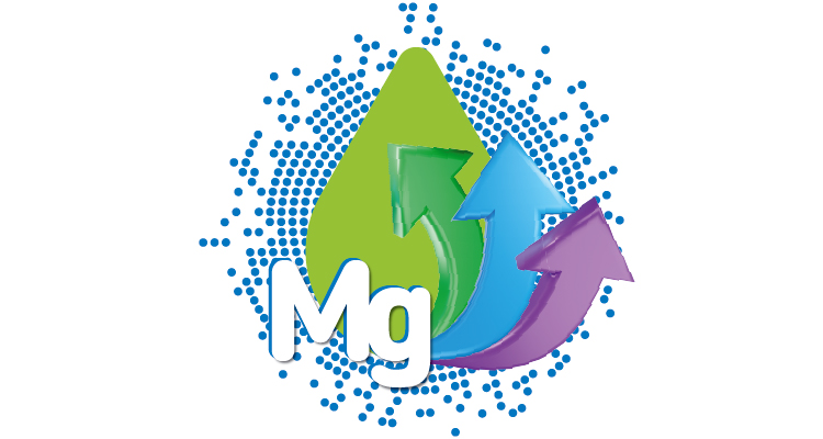 Otkrijte snagu 6u1 magnezij kompleksa