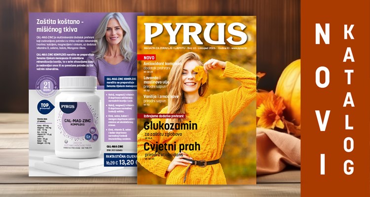 Katalog