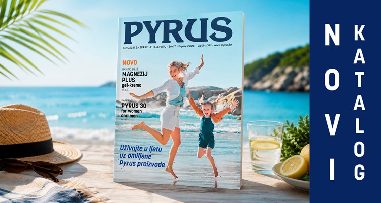 Katalog