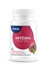 Artičoka