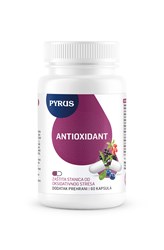 Antioxidant