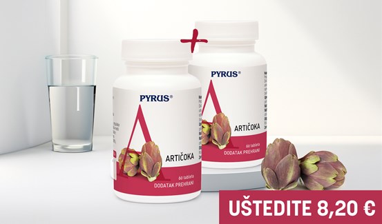 Artičoka & Artičoka