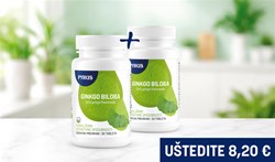 Ginkgo biloba & Ginkgo biloba