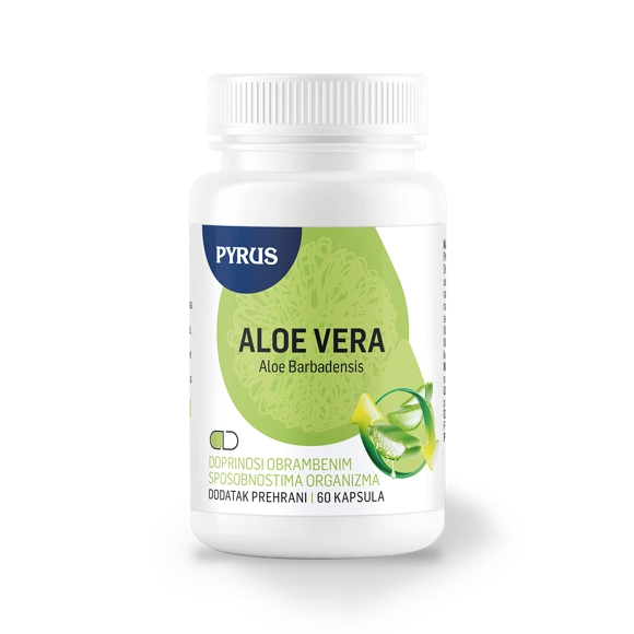 Aloe Vera