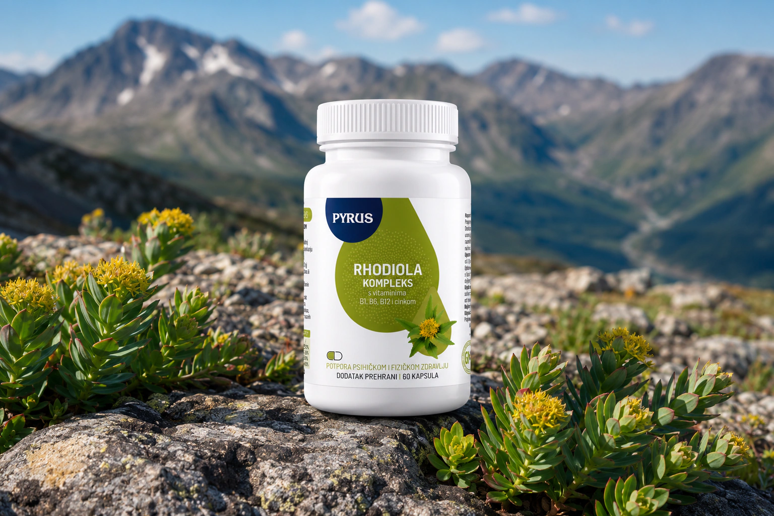 RHODIOLA kompleks - fotografija 1