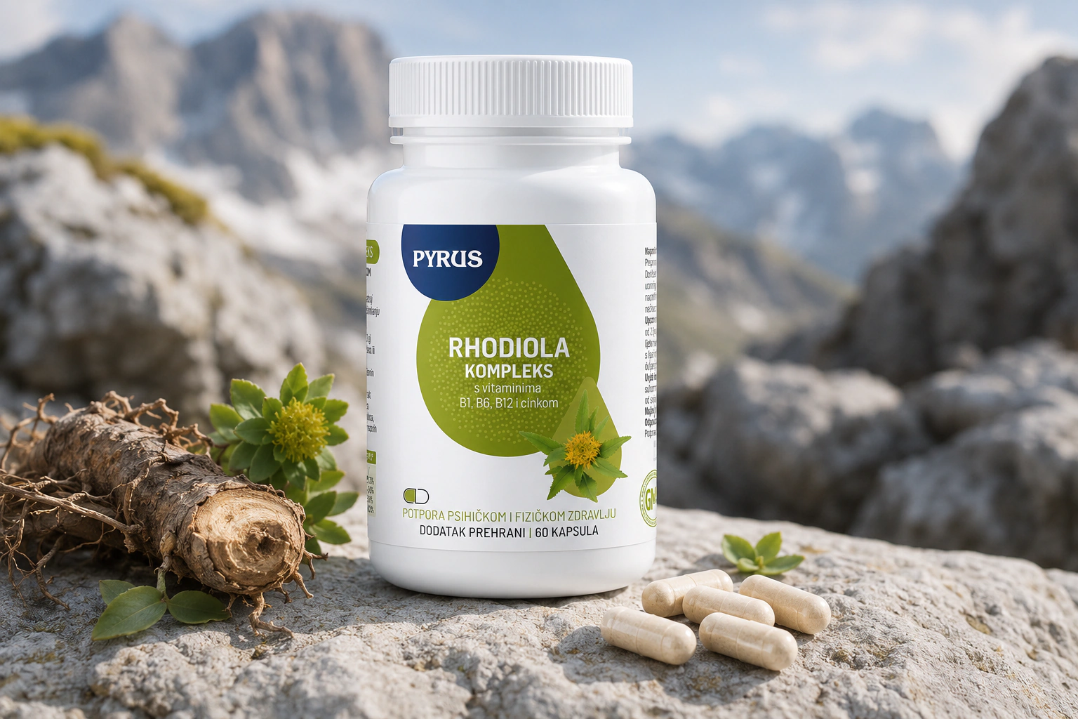 RHODIOLA kompleks - fotografija 3